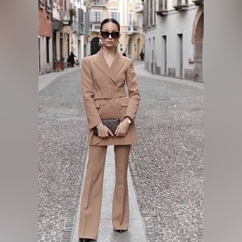 NWT Blogger’s Favorite Luxury Minimalist Zara Double Breasted Camel Coat/Dress - Picture 11 of 17